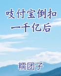 吱付宝倒扣一千亿后29章