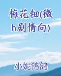 梅花簪图片