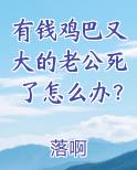 有钱鸡巴又大的老公死了怎么办？小说推荐