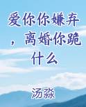爱你你嫌弃，离婚你跪什么电子书