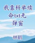 我靠科举发家