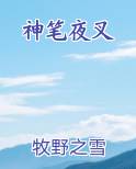 神笔夜叉免费观看